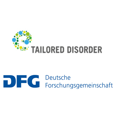 "Tailored Disorder" SPP 1839 Spring School 