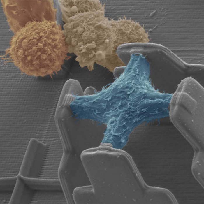 Picture of research within the research area "Biomedical Photonics" of KSOP.